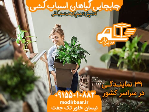 جابجایی گیاهان اسباب کشی