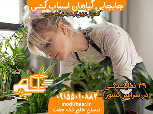 جابجایی گیاهان اسباب کشی