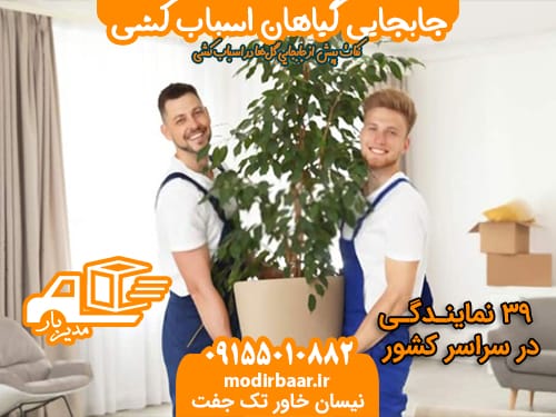 جابجایی گیاهان اسباب کشی