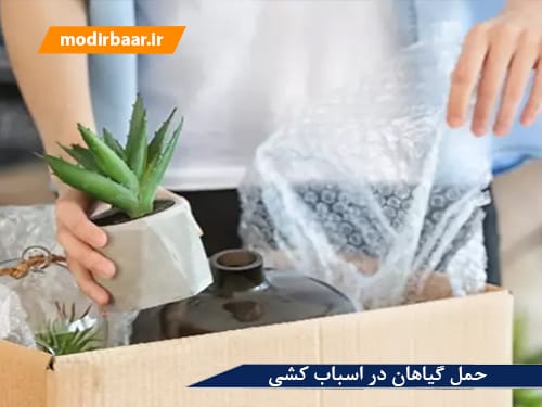 حمل گیاهان در اسباب کشی