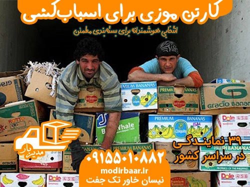 کارتن موزی برای اسبابکشی