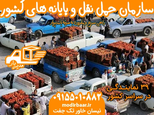 سازمان حمل نقل و پایانه های کشور