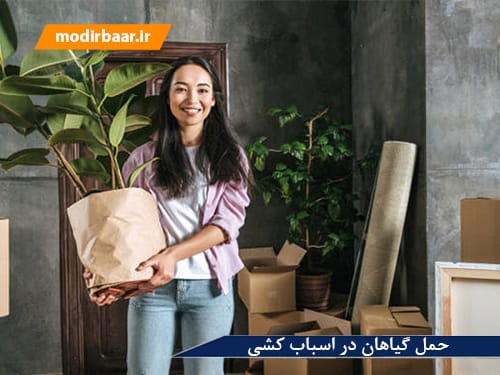 حمل گیاهان در اسباب کشی