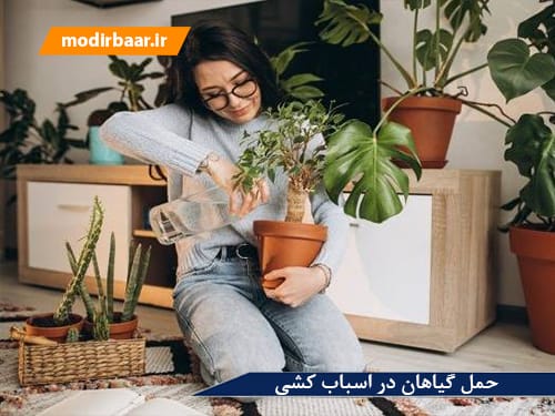 حمل گیاهان در اسباب کشی