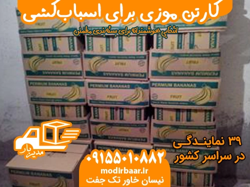 کارتن موزی برای اسباب‌کشی