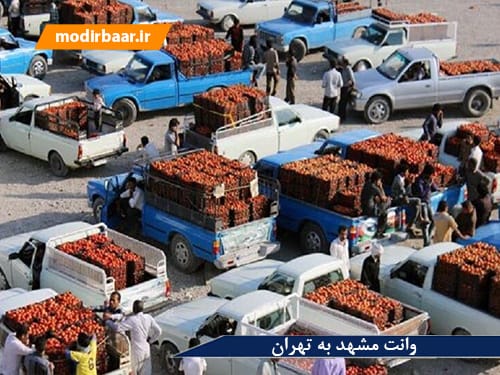 وانت مشهد به تهران