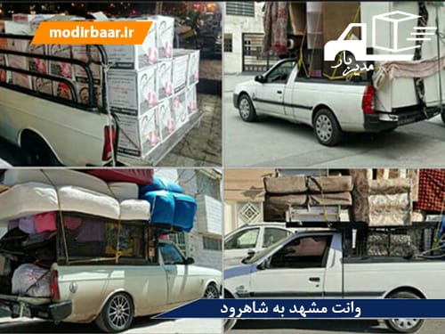 وانت مشهد به شاهرود