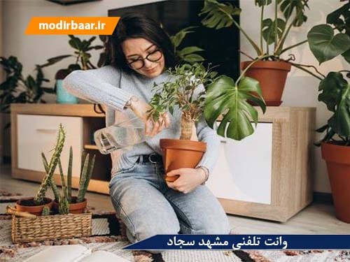 وانت تلفنی مشهد سجاد